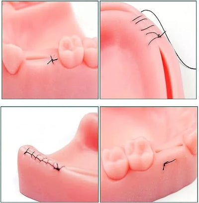 Kit Práctica Sutura Cirujano Dentista 4 Piezas